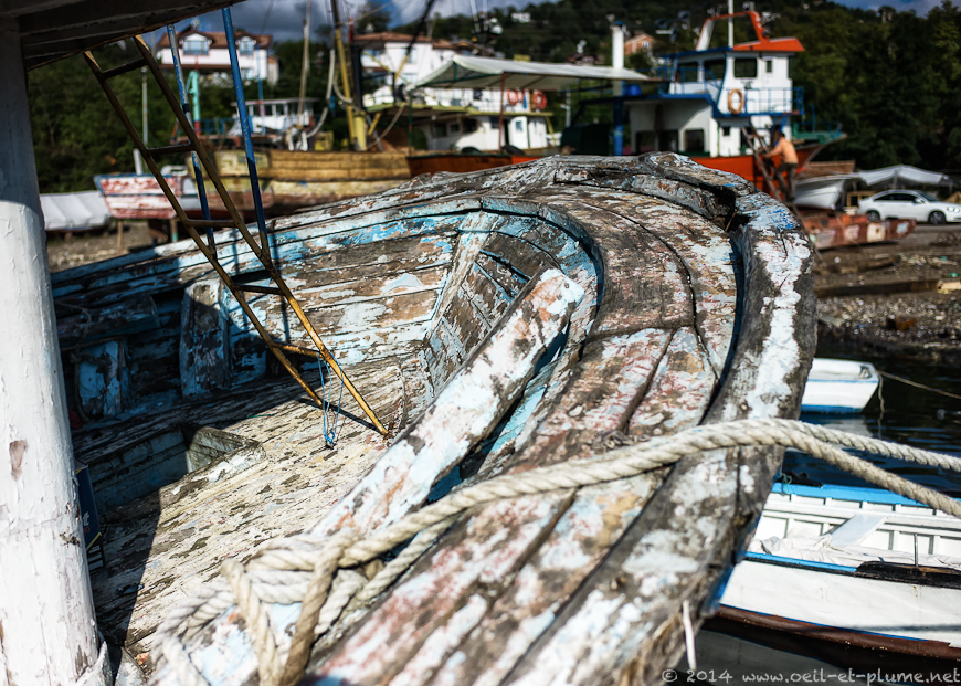 Vona Peninsula 2014