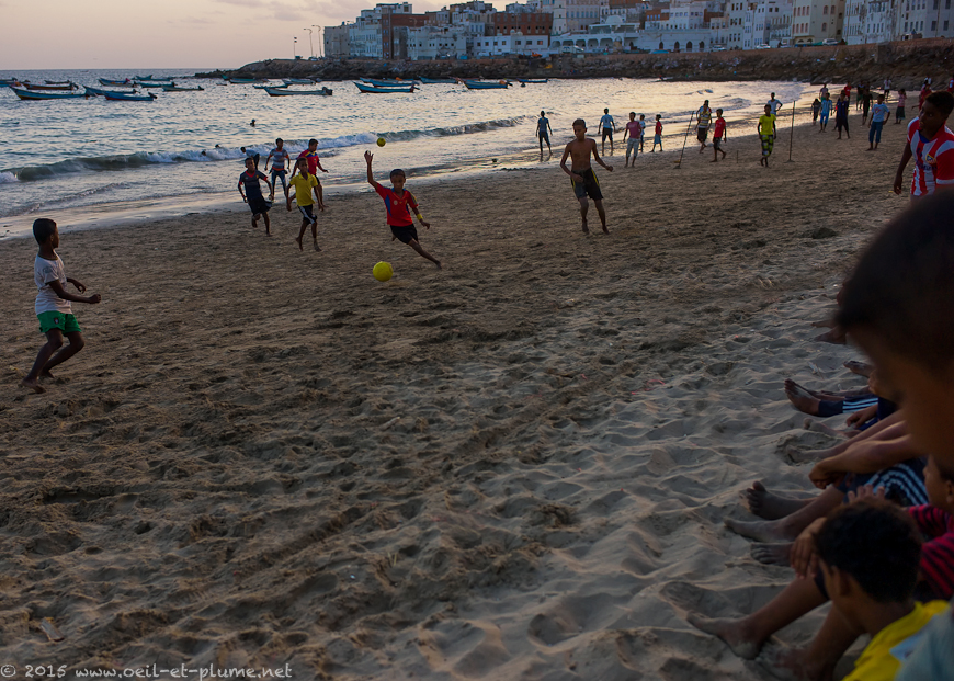 Coastal Hadramout 2015