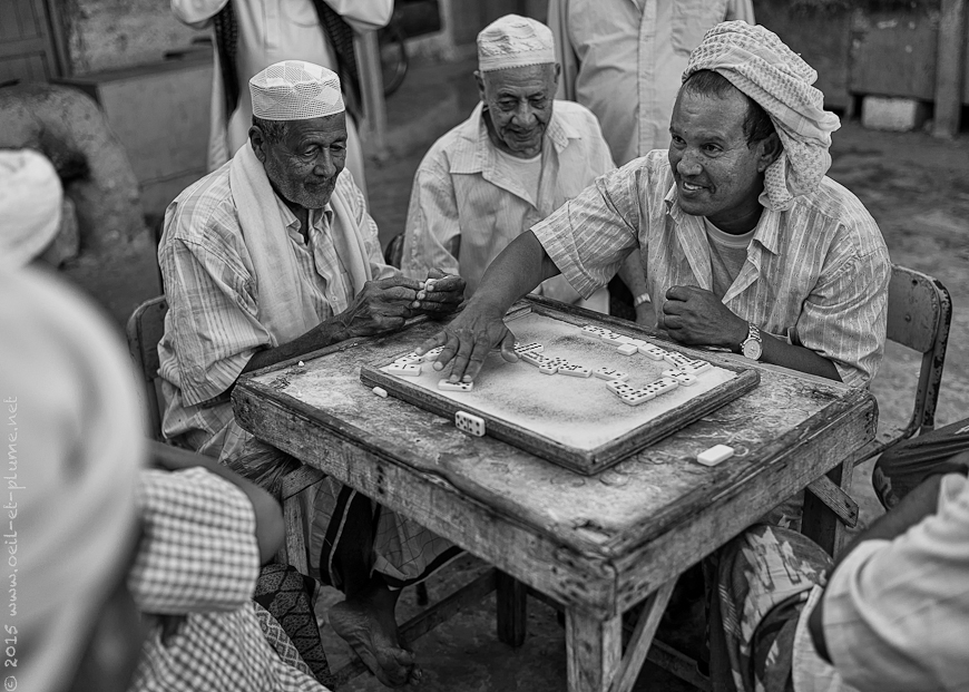 Coastal Hadramout 2015