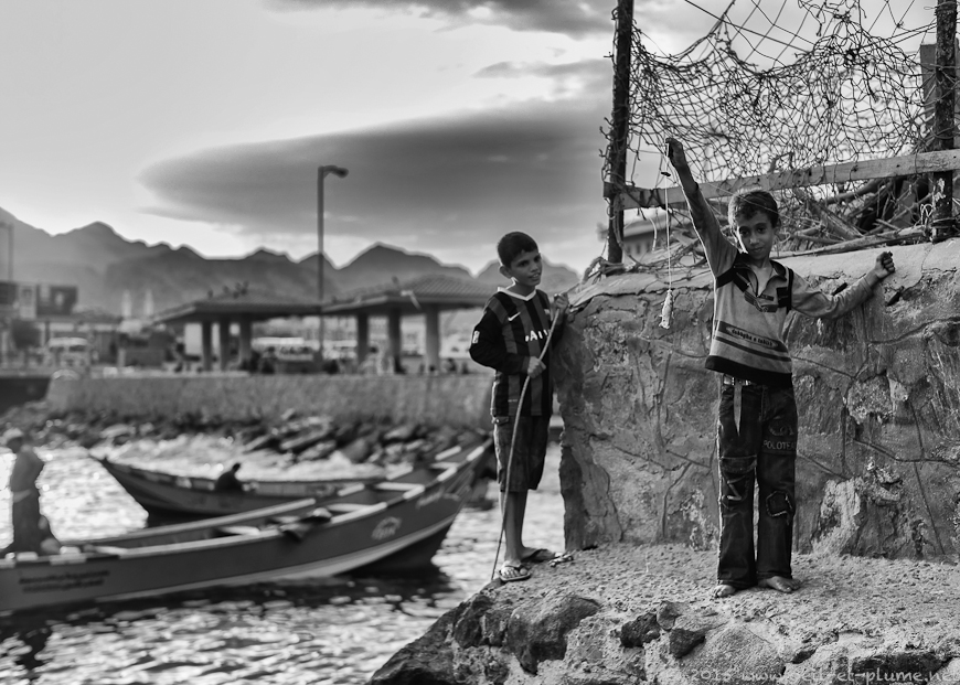 Aden 2014-2015