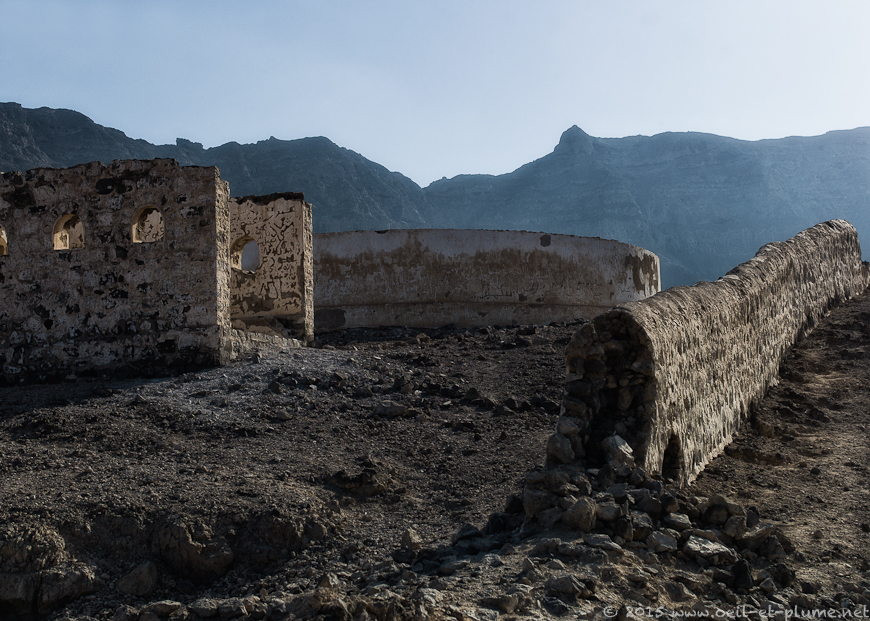 Aden 2014-2015