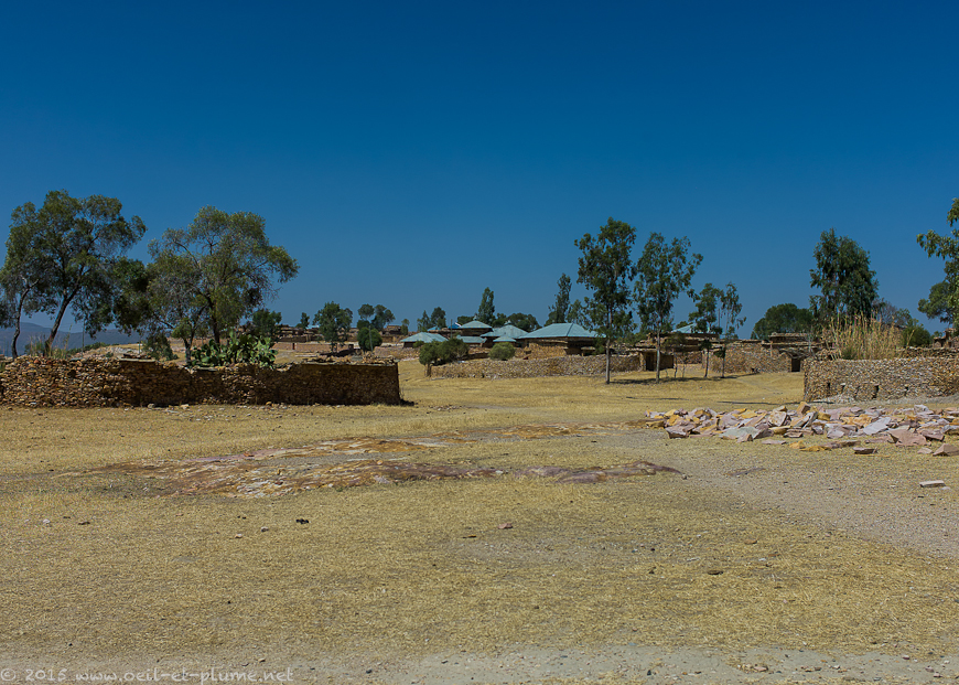 Tigray 2015