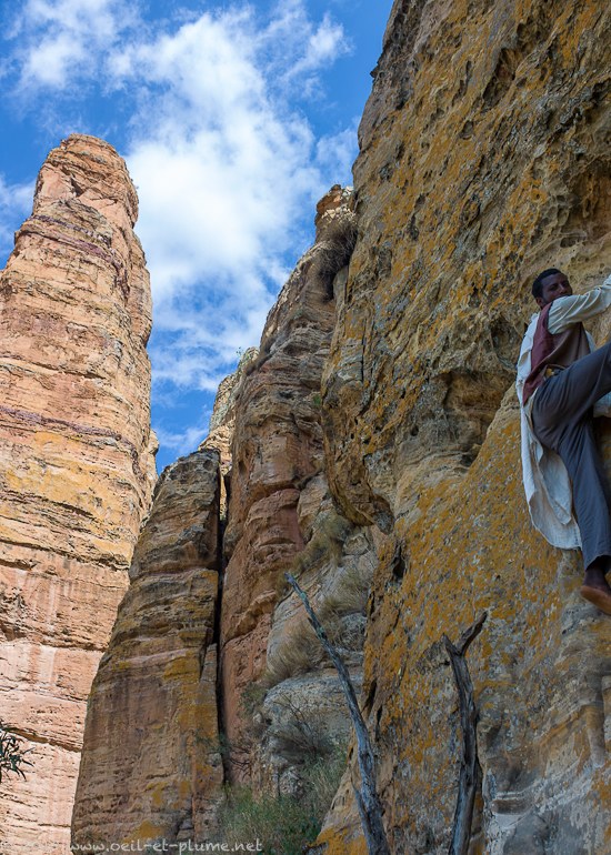 Tigray 2015