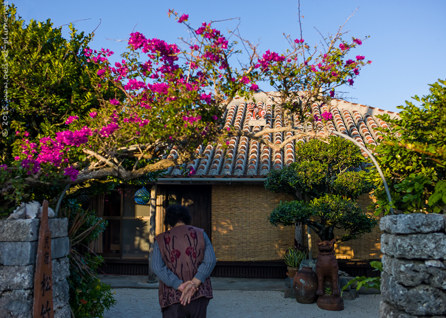Yaeyama 2015