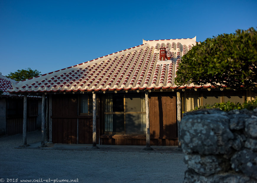 Yaeyama 2015