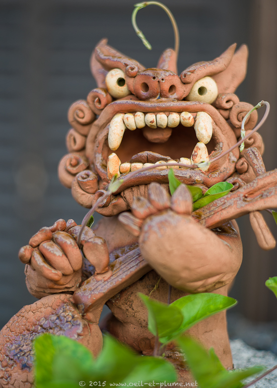 Yaeyama 2015