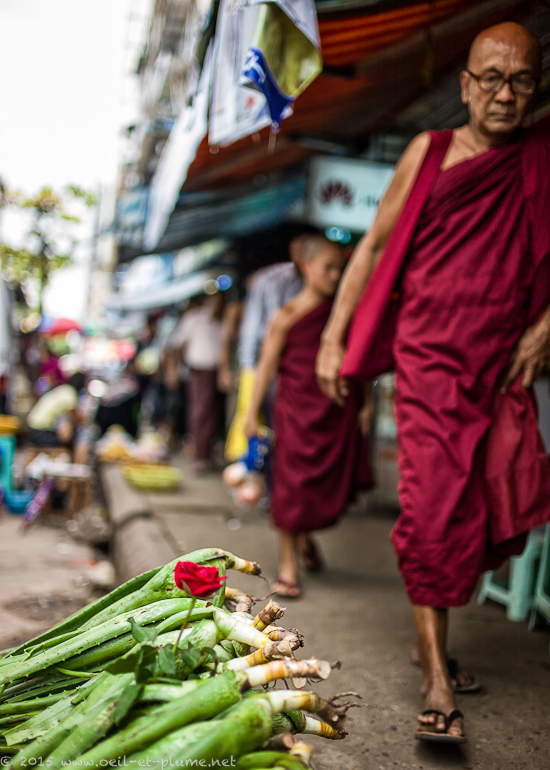 Yangon 2015