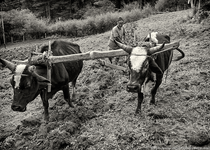 Bhutan 2015