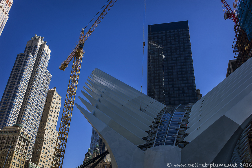 NYC 2015