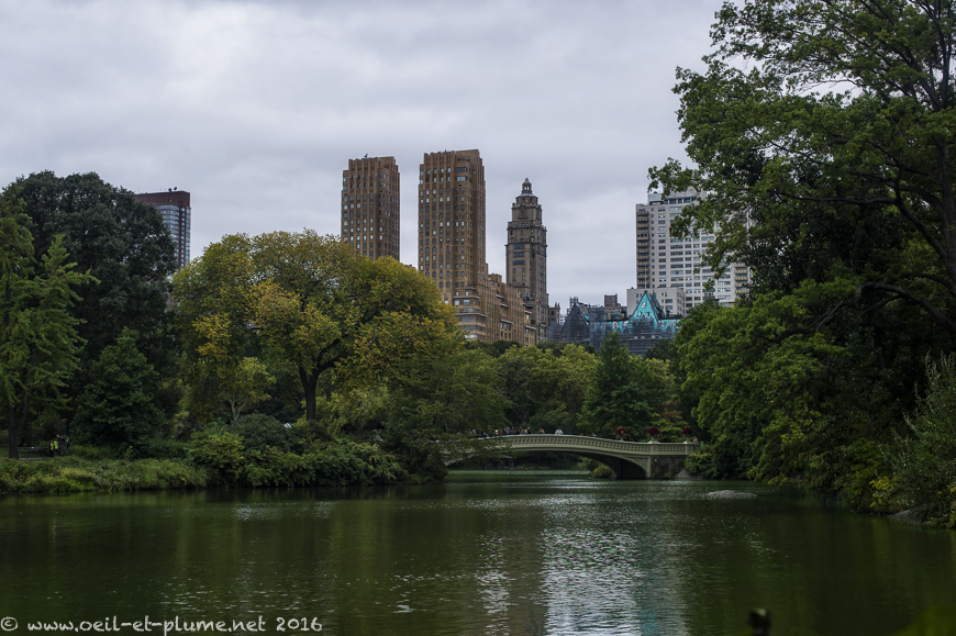 NYC 2015