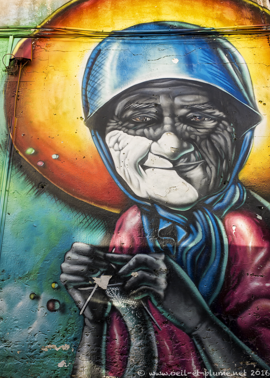 Nicosia 2016