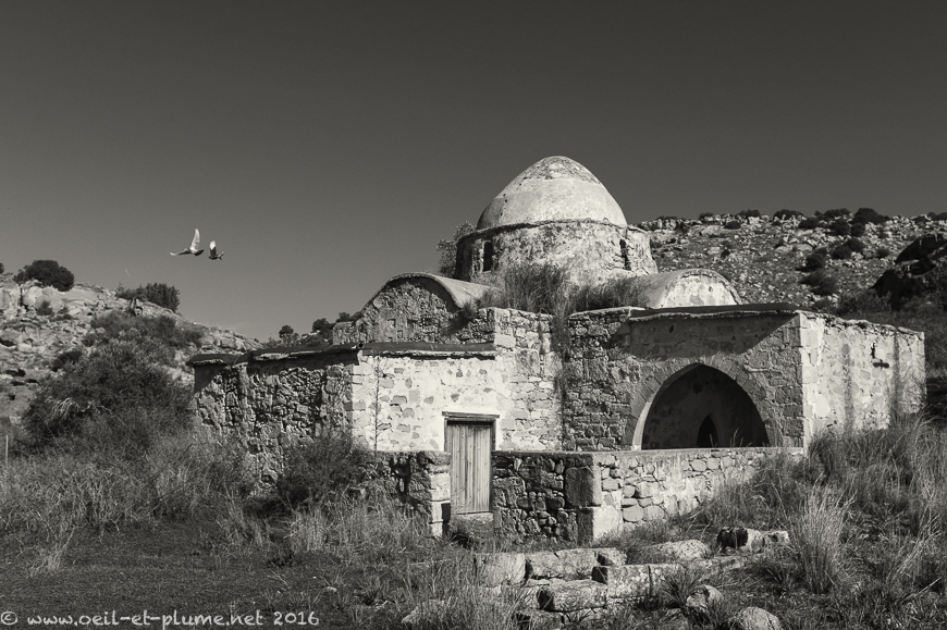 Cyprus 2016