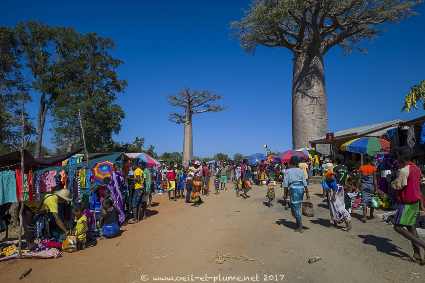 Madagascar 2017