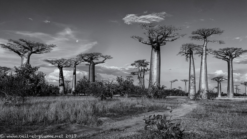 Madagascar 2017