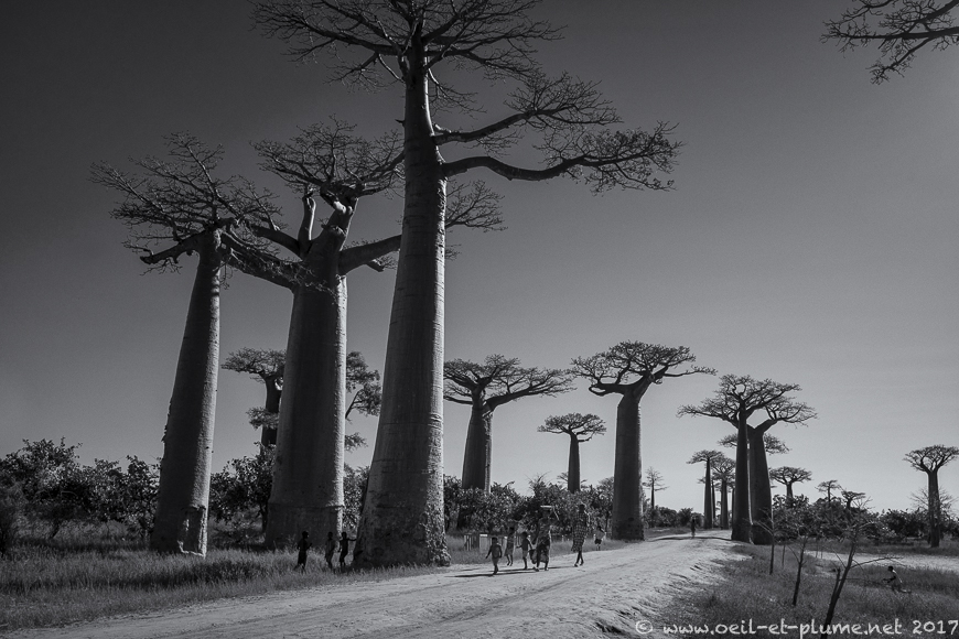 Madagascar 2017