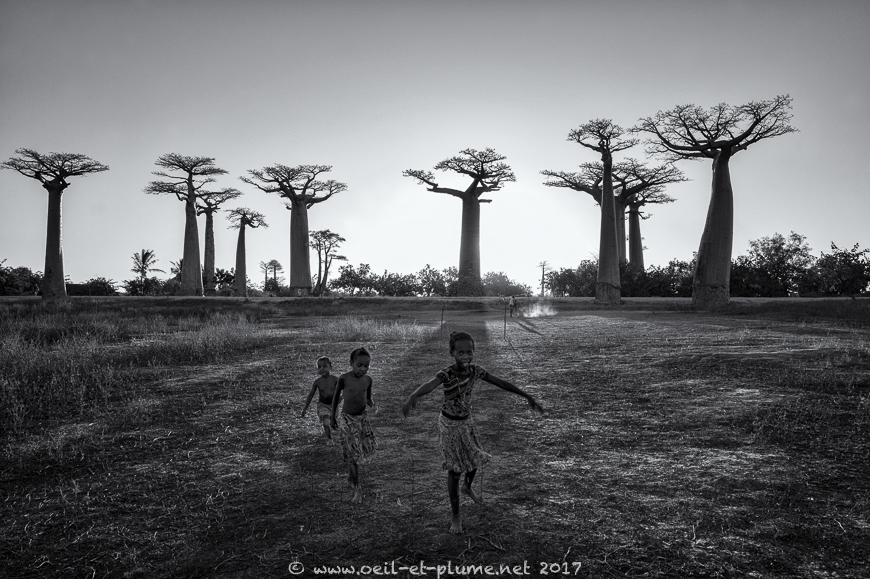 Madagascar 2017