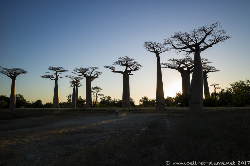 Madagascar 2017