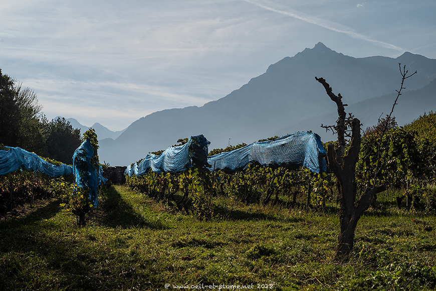 Valais 2018