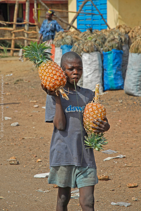 15 Sierra Leone Joyau